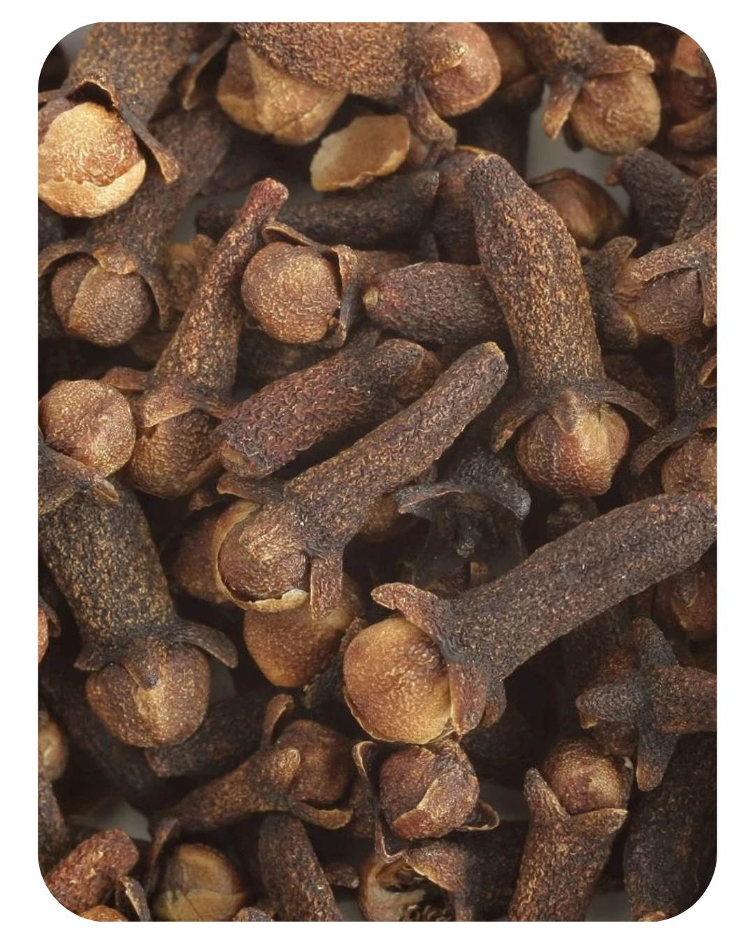 Bétaïne : protège et renforce la fibre capillaire